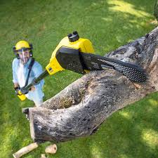 Best Seasonal Cleanup (Spring/Fall)  in Polk City, FL